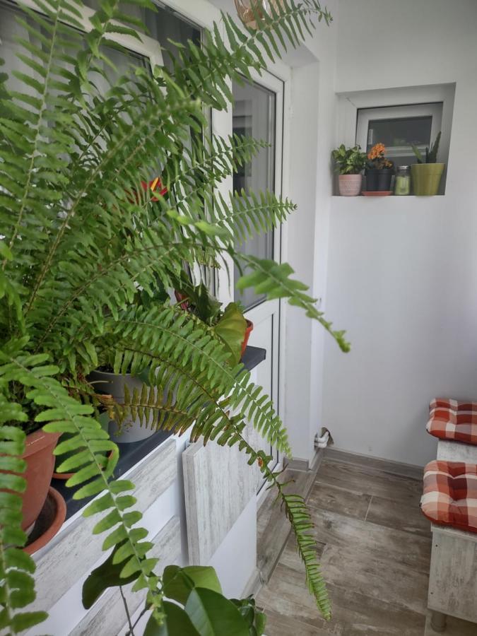Apartament Πιτέστι Εξωτερικό φωτογραφία